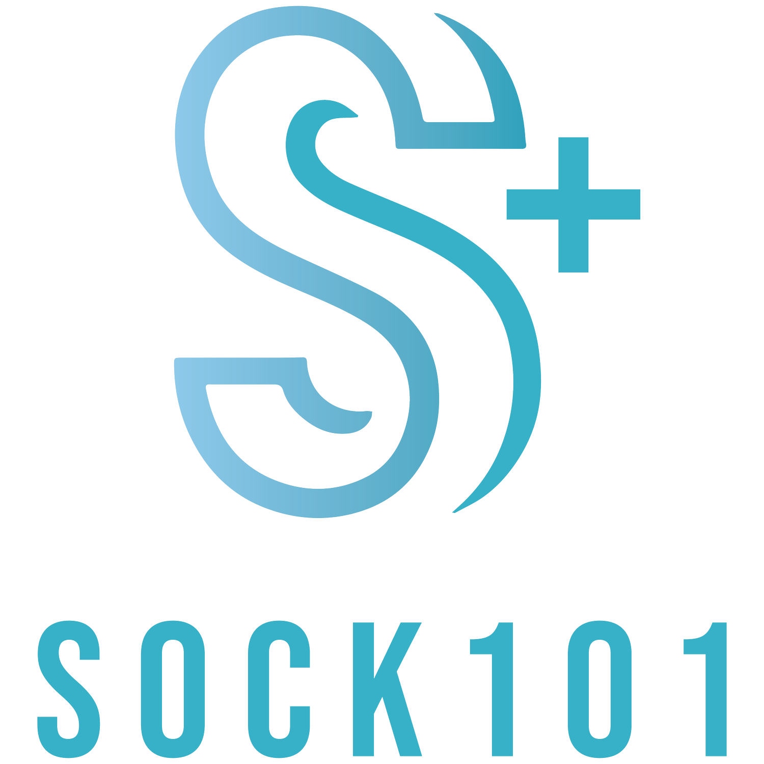 Sock101 logo